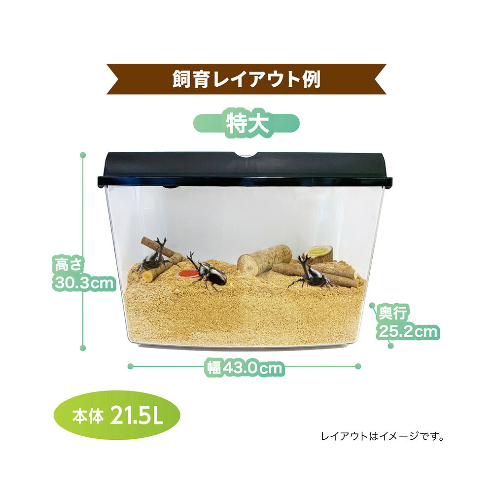 プラケース　マルカン　ワイドビュー　BLACK　特大　（430×252×303mm）　関東当日便