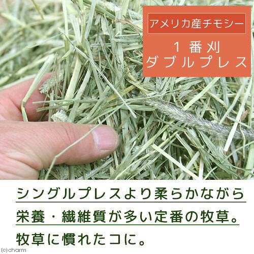 アメリカ産チモシー　一番刈　ダブルプレス　業務用大容量　3kg　牧草　うさぎ　小動物　牧草　お一人様3点限り　関東当日便