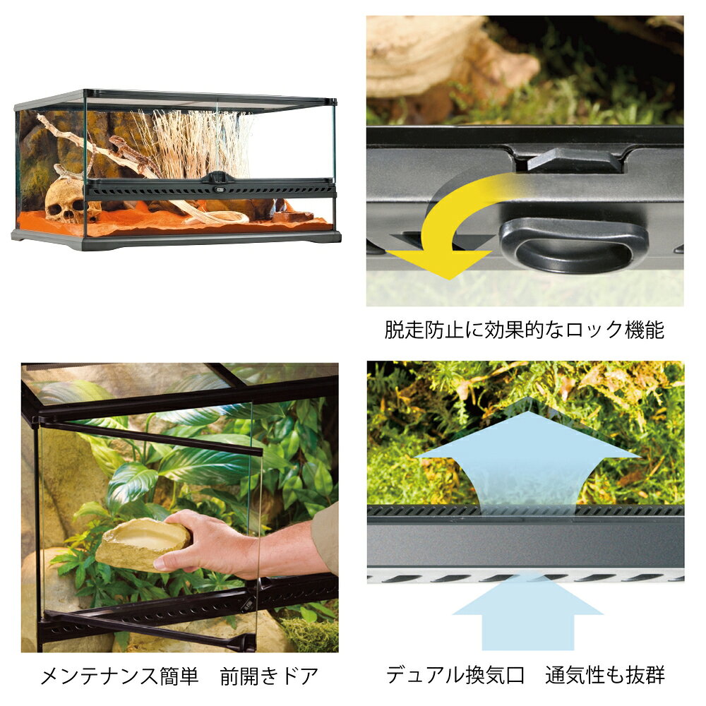 爬虫類ケージ　GEX　エキゾテラ　グラステラリウム　6030　爬虫類　トカゲ　リクガ...