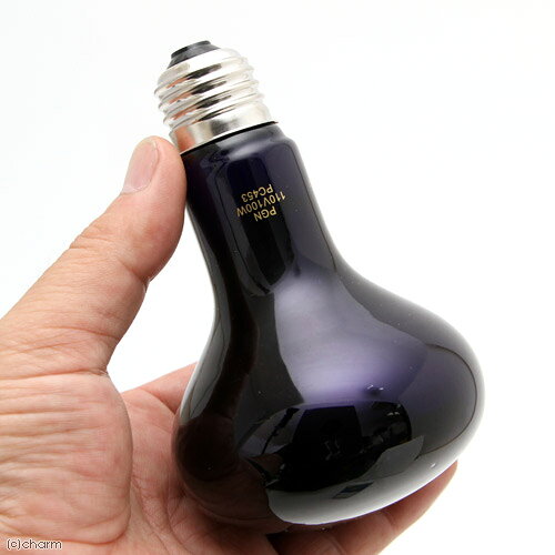 ポゴナ・クラブ　NEW　ビバリウム　ムーンスポット　100W　関東当日便