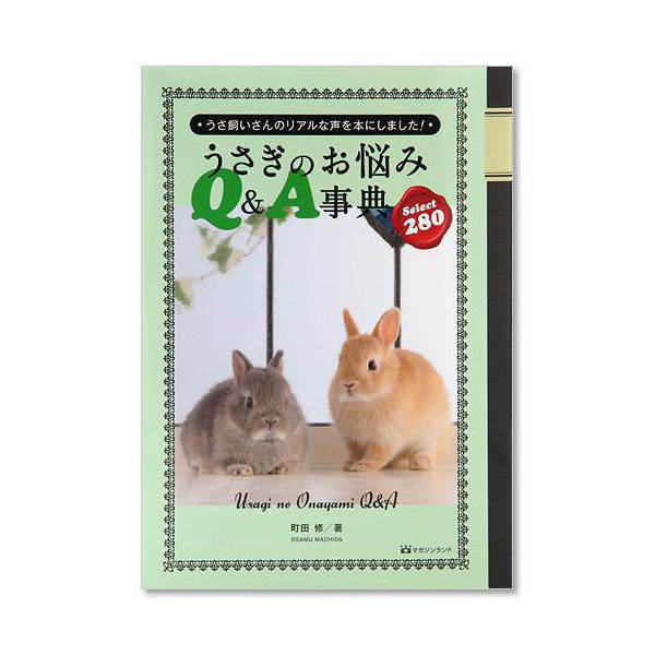 アウトレット品 うさぎのお悩み QandA辞典 Select 280 書籍 訳あり 関東当日便