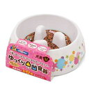 ドギーマン ゆっくりデコボコ食器 M (17.2×17.5×5.7cm) 関東当日便