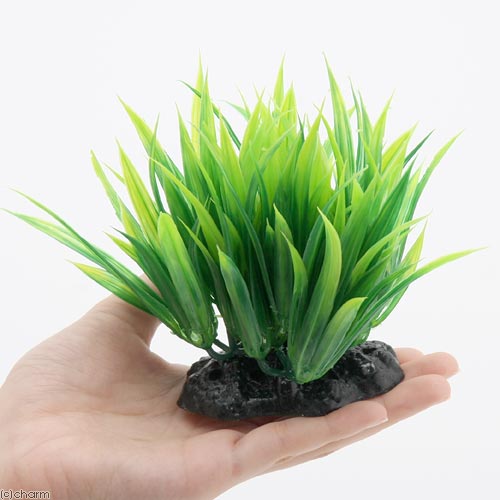 GEX��������ʡ����äפꥵ�����ꥢ���͹����𡡴���������