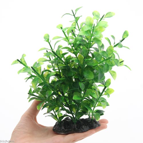 GEX��������ʡ����äפ�ϥ������ե��顡�͹����𡡴���������