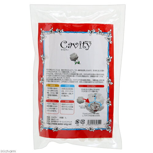 Cavity������ӥƥ���1L��ʪ������ʪ���ᡡĶ���̡����ࡡ����������