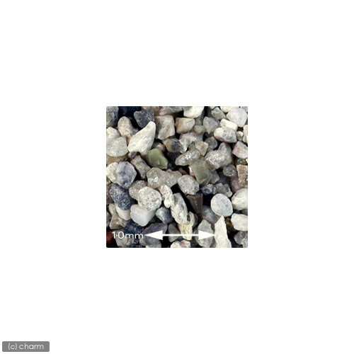 No��24��Blizzard�ʥ֥ꥶ���ɡˡ�9��åȥ��60cm�����ѡˡ�����������