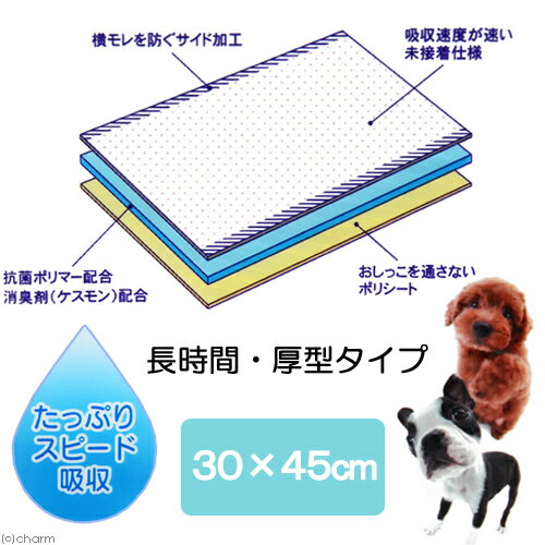 �����ꥹ�ȡ�THEDOG���ڥåȥ����ġ�15�硡����������