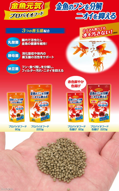 アウトレット品　GEX　金魚元気プロバイオフード　80g　金魚　顆粒　浮上性　金魚...