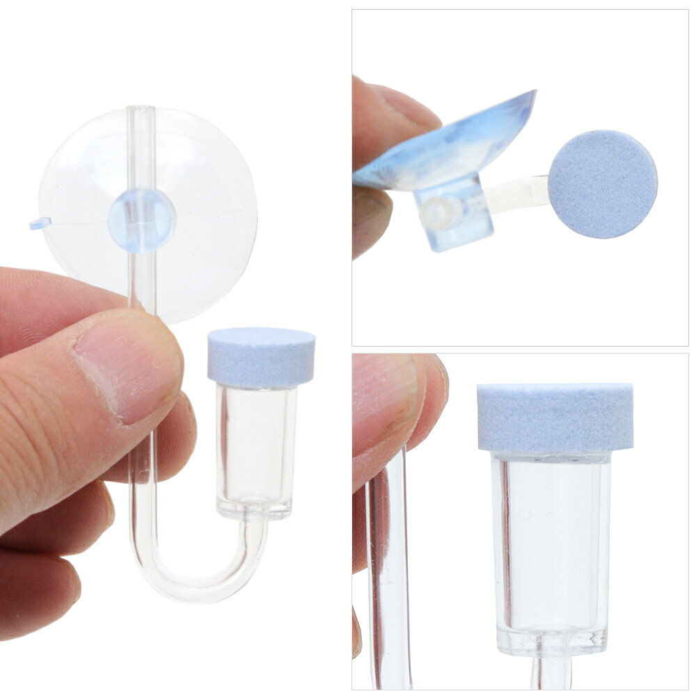 ����ӥ꡼�Х֥�AIR��U��type�������졼����󡡳Ȼ������������