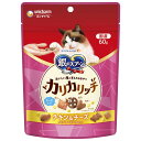 銀のスプーン おいしい顔が見られるおやつ カリカリ チキン&チーズ 60g 関東当日便