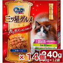 キャットフード 銀のスプーン 三ツ星グルメ 下部尿路の健康維持用 1歳から10歳頃まで お魚レシピ 240g(20g×12袋)×14個 関東当日便