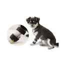 ファンタジーワールド IVカテーテルガード Sサイズ 猫・小型犬用 介護 看護 関東当日便