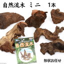 形状お任せ 自然流木 ミニ(約15cm以下) 1本 アクアリウム 水槽 関東当日便