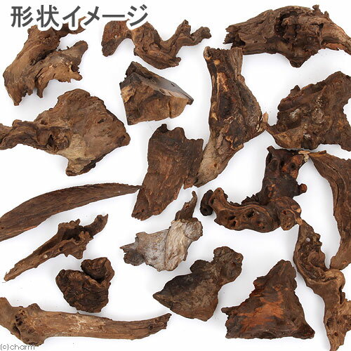 ������Ǥ��������ή�ڡ��ߥˡ���15cm�ʲ��ˡ�1�ܡ��������ꥦ�ࡡ���塡����������