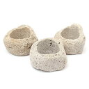 鉢 形状お任せ 抗火石鉢 大 穴径11~12cm(1個) ミニミニ盆栽鉢