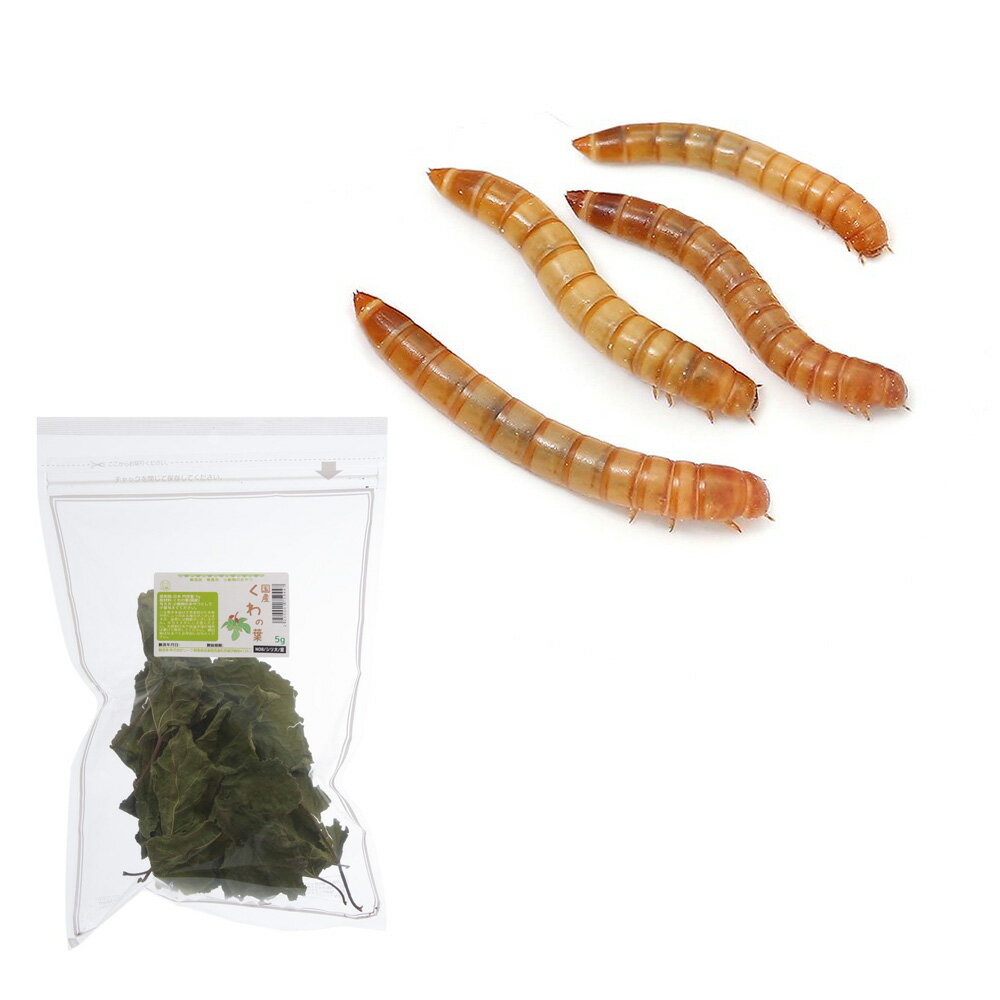 （生餌）ミルワーム 10カップ分 栄養強化セット 活餌 本州四国限定