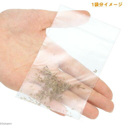 メヒシバの種（1袋）猫草　うさぎ　犬　猫　おやつ　種子　関東当日便