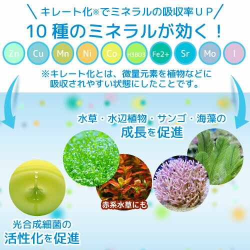 Q10��������ʡܥ��륭ȴ���ˡܥХ��ƥꥢ�ܥߥͥ�롡ø���ѡ�500mL�߳�1�ܡ�����������