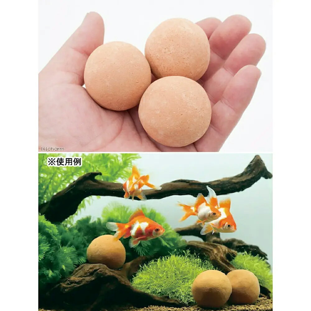 ��򥭥쥤�ˤ��롡�����饤�Ȥζ̡�����ѡ�3����������������