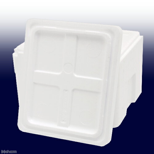 ȯˢ����������Ȣ�����TI��220��2����40�߱���33�߹⤵26cm�ˡ��ե��դ����������1���¤ꡡ����������