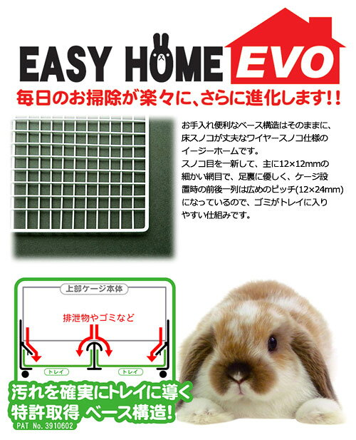 ���������������������񡡥��������ۡ��२��80BK��WS��81��50��5��55cm�ˡ��磻�䡼��å��她�Υ����͡������������������������1���¤ꡡ����������
