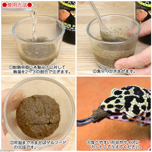 レパシー　スーパーフード　GRUB　PIE　グラブパイ　6oz　170g　ヒョウモントカゲ...