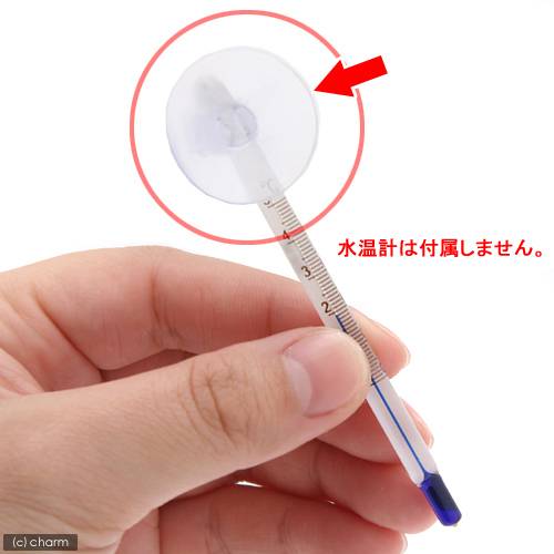 GEX�����ꥹ����岹�ס�S�ѡ��������ࡡGX��25����2�ġ�����������