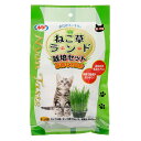 NPF NyanTaste ねこ草ランド 栽培セット 3回分 関東当日便