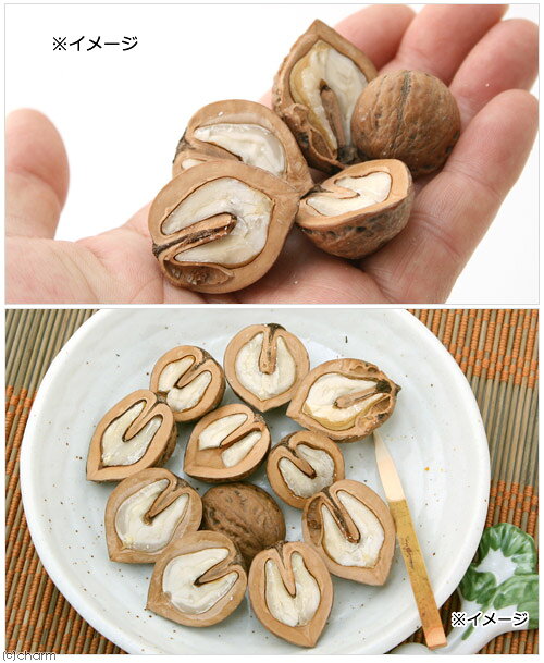 国産　割り　くるみ　50g　ナッツ　小動物のおやつ　小鳥　ハムスター　無添加　無...