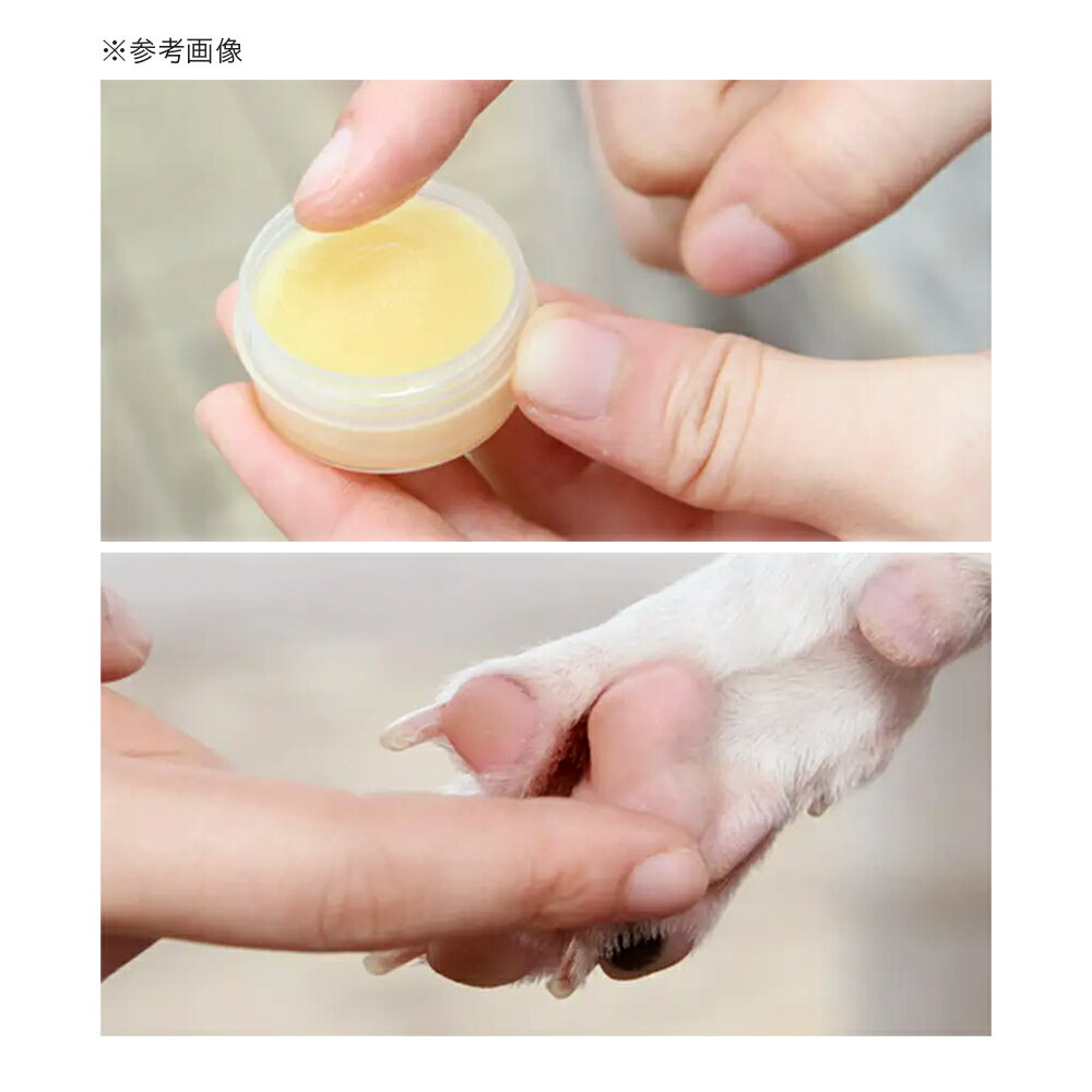 ŷ���Ǻ�����奯�꡼�ࡡ�����ʥåĥ����롡10g��­΢���꡼�ࡡ����ǭ�����������������졡����