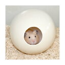 ダチョウのたまごハウス 1個 小動物のおうち 希少 ハムスター デグー 関東当日便