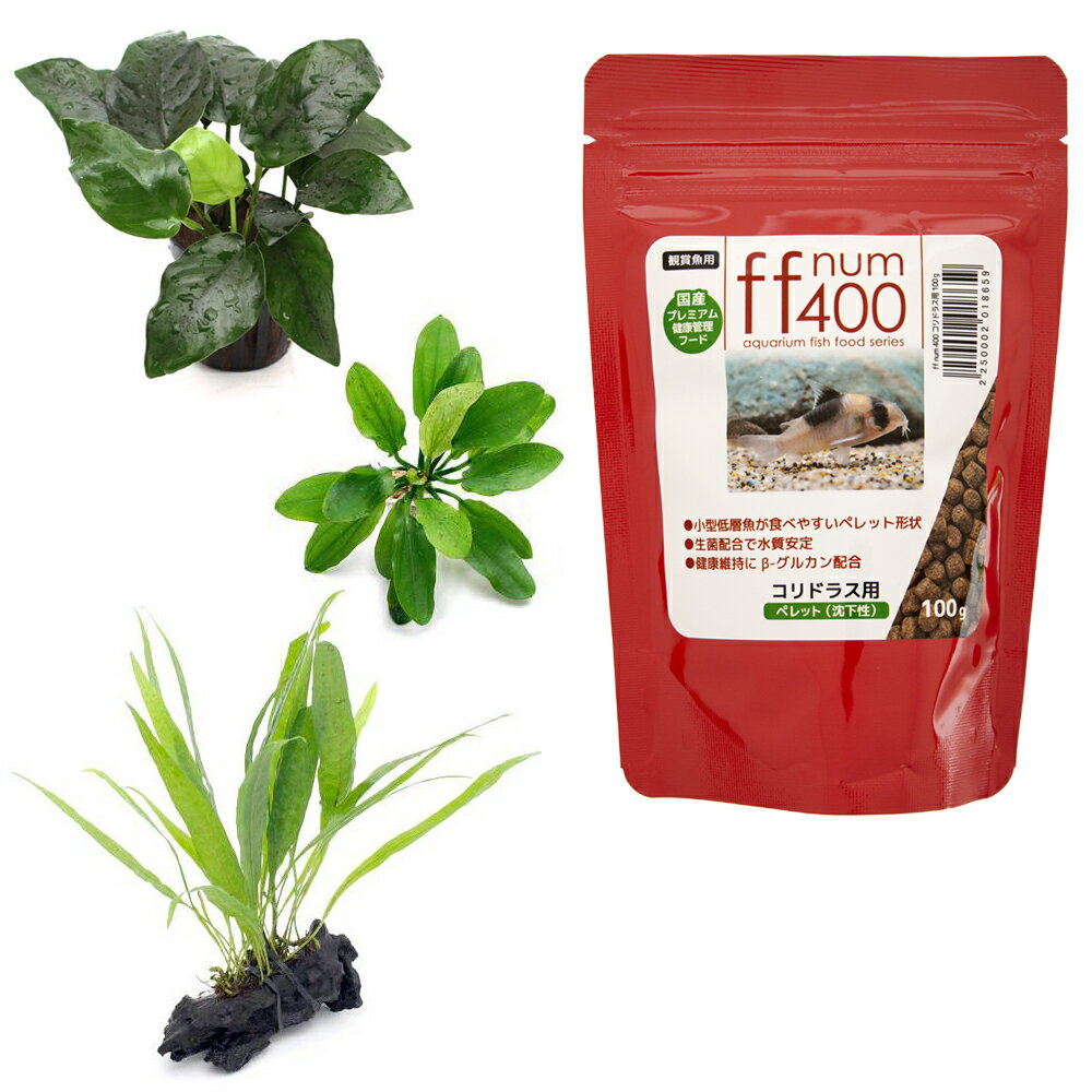 �ʿ����ff��num400����ɥ饹�ѥڥ�åȡ���������100g�ܥ���ɥ饹�ѿ��𥻥å�3���1�ѥå��˥��åȡ��ܽ��͹����