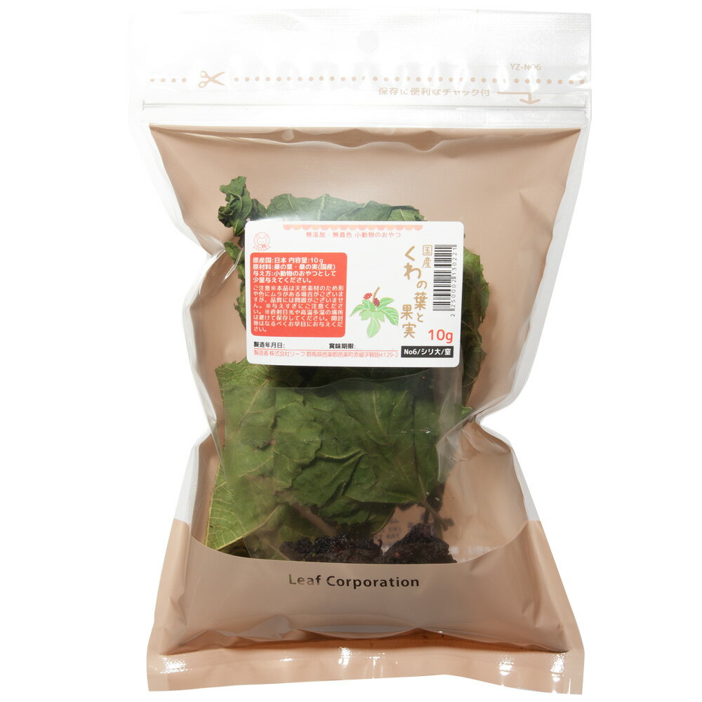 国産　くわの葉と果実　10g　小動物のおやつ　無添加　無着色　関東当日便