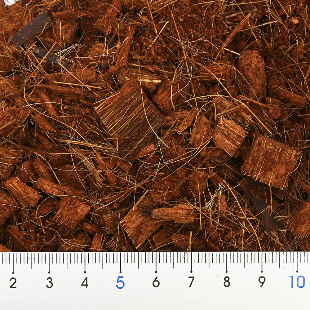 �ϥ������åס�5L������ѡ�����ȴ���Ѥߡ��ޥ���󥰡������ɥ��С����������11���¤ꡡ����������