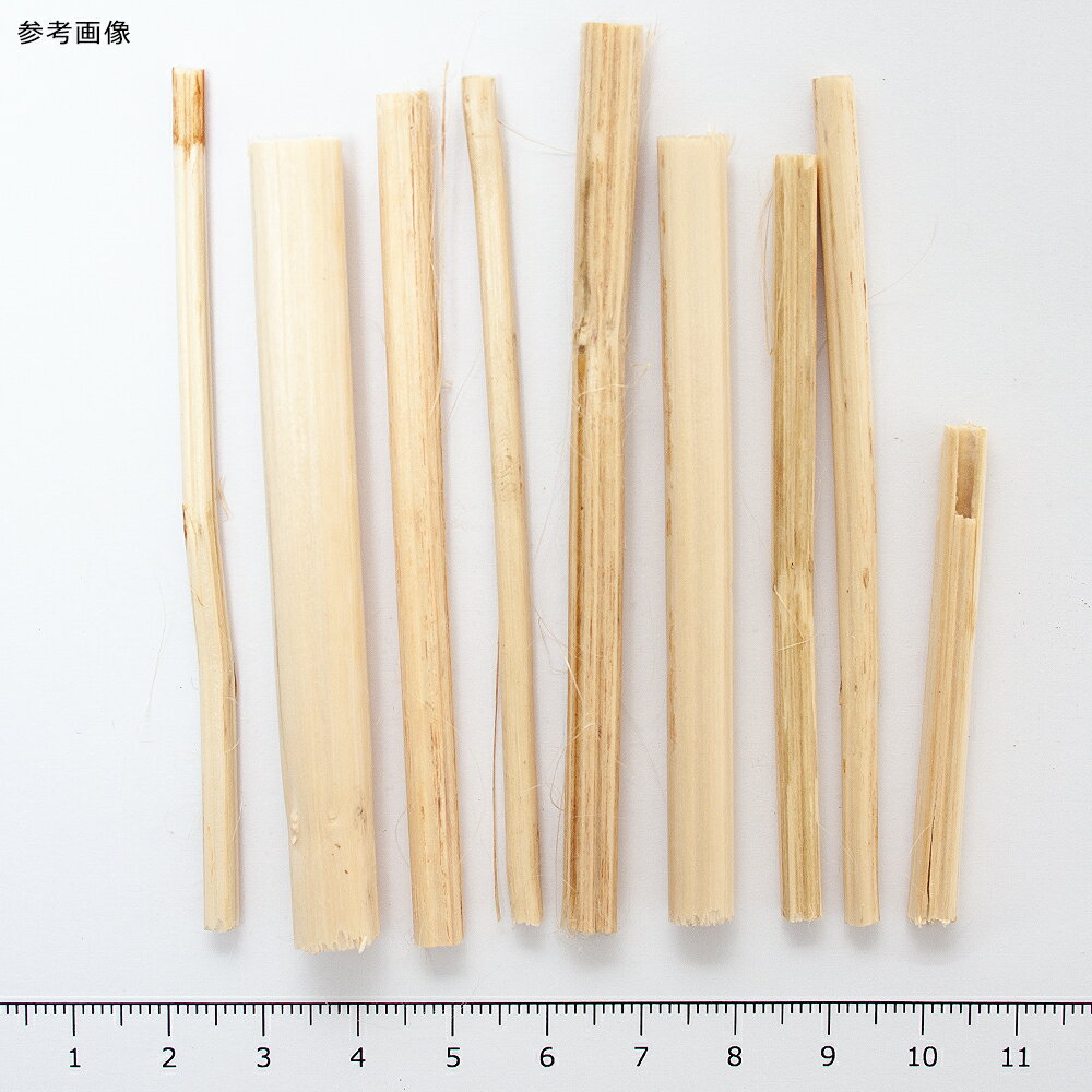 小鳥のための麻がら　10g　鳥用　破壊系おもちゃ　関東当日便