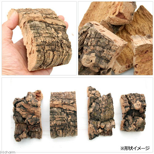 ��Ļ�Τ����ŷ�����륯��1�ġ���Ҥ��ա�Ļ�ѡ��˲��Ϥ�����㡡����������