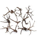 形状お任せ 煮込み済み 極上流木 Sサイズ(約10〜20cm)10本 アクアリウム テラリウム レイアウト素材 関東当日便