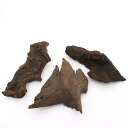 形状お任せ 煮込み済み 塊状流木 SSサイズ(約10〜15cm) 3本 レイアウト素材 関東当日便