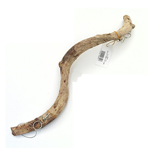 天然素材　吊り下げ式　モダマ　M45H　（長さ450mm　直径25〜35mm程度）　スパイラルパーチ　関東当日便