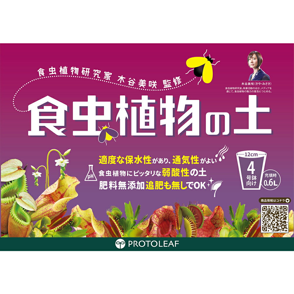 �����ڡ��ץ��ȥ꡼�ա����ʪ���ڡ�0��6L��4��ȭ����������������