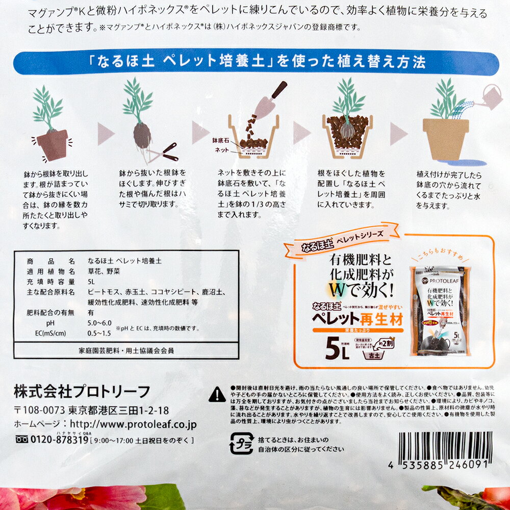 ��ڤ��ڡ��ץ��ȥ꡼�ա��ʤ���ڡ��ڥ�å������ڡ�5L����Ϥ����̵����ФĤ��󡪡�����������