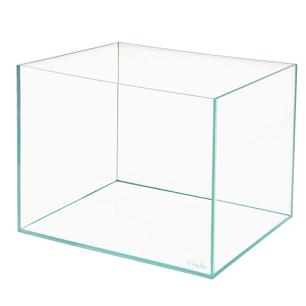 6045水槽（単体） スーパークリア アクロ60S45（60×45×45cm）フタ無し ロゴ付き 180サイズ 送料無料 関東当日便