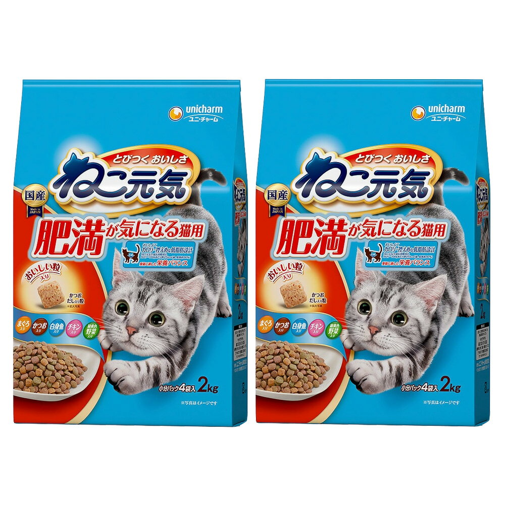 メーカー：ユニチャーム品番：N-09 【5】ねこが大好きなおいしさと栄養バランスを考えた総合栄養食肥満傾向の成猫の適正体重と健康を考えた栄養バランスのフードです。室内で飼われている猫ちゃんなどの健康・体重の維持などに配慮してつくられ、カロリーを控えたい場合や、体重を維持したい時などに有効です。ねこ元気　肥満が気になる猫用　2．0kg×2袋対象全猫種機能総合栄養食タイプドライフードライフステージ成猫特長●カロリー控えめな低脂肪設計のおいしい食事です。●脂質：ねこ元気　全成長段階用比　約90％●カロリー：ねこ元気　全成長段階用比　100gあたり25kcal減●ねこの健康の必須成分であるタウリンを配合しました。●マグネシウム量を調整。（含有量0．10％：標準値）●ねこが大好きなまぐろ・かつお・野菜・白身魚・チキンの味のミックスです。内容量2．0kg（500g×4袋）×2袋原材料穀類（トウモロコシ、コーングルテンミール、パン粉等）、肉類（チキンミール、ポークミール、ビーフミール、チキンエキスパウダー等）、セルロースパウダー、魚介類（フィッシュミール、フィッシュエキスパウダー、マグロミール、カツオミール、白身魚ミール等）、動物性油脂、野菜類（ビートパルプ）、豆類（脱脂大豆）、酵母エキスパウダー、ミネラル類（カルシウム、塩素、コバルト、銅、鉄、ヨウ素、カリウム、マンガン、リン、亜鉛）、ビタミン類（A、B1、B2、B6、B12、C、D、E、K、コリン、ナイアシン、パントテン酸、ビオチン、葉酸）、着色料（二酸化チタン、赤色102号、赤色106号、黄色4号、黄色5号、青色1号）、酸化防止剤（ミックストコフェロール、ハーブエキス）保証栄養分析値タンパク質：30．0％以上、脂質：8．1％以上、粗繊維：6．0％以下、粗灰分：9．0％以下、水分：10．0％以下、ビタミンA：10000IU／kg以上、ビタミンE：80IU／kg以上、ビタミンB1：5．0mg／kg以上、ビタミンB2：5．0mg／kg以上代表的な分析値カルシウム：1．20％、ナトリウム：0．50％、リン：1．00％、マグネシウム：0．10％カロリー325kcal／100g原産国日本ご注意※生後6ヶ月未満の幼猫には与えないでください。※必要な栄養素は生物によって異なりますので、ねこ以外には与えないで下さい。※まれに体調や体質に合わない場合もあります。何らかの異常に気づかれた時は給与を中断し、早めに獣医師に相談することをおすすめします。ドギーマン　ウッディーダイニング　M　犬用・猫用食器台　トレードギーマン　ウッディーダイニング　S　犬用・猫用食器台　トレーキャティーマン　ステンレス食器　ごはんにゃわん　猫用　ブルー　ドギーマンキャットフード　ねこ元気　肥満が気になる猫用　2．0kg（500g×4袋）　5袋入り … de20_unink　猫フード　ドライフード　ユニ・チャーム　ねこ元気　20100928　TT2　cat_dry　himan_taiou　seinekoyou　猫ドライ低カロリー　_Dryfood　_Zenseicho　S_Fish　ユニチャーム　_neko　OKB　2tnZ8Kjy_nkfd　tMfzznz6　unicharm_1406　4520699689936　《セット用》ねこ元気　肥満が気になる猫用　2．0kg　キャットフード　2袋入り　20181227　カリカリ　p15nekgg　uni2006point　×2袋　y18m12キャットフード　ねこ元気　肥満が気になる猫用　2．0kg構成する商品内容は在庫状況により予告無く変更になる場合がございます。予めご了承下さい。■この商品をお買い上げのお客様は、下記商品もお買い上げです。※この商品には付属しません。■ドギーマン　ウッディーダイニング　M　犬用・猫用食器台　トレードギーマン　ウッディーダイニング　S　犬用・猫用食器台　トレーキャティーマン　ステンレス食器　ごはんにゃわん　猫用　ブルー　ドギーマンキャットフード　ねこ元気　肥満が気になる猫用　2．0kg（500g×4袋）　5袋入り