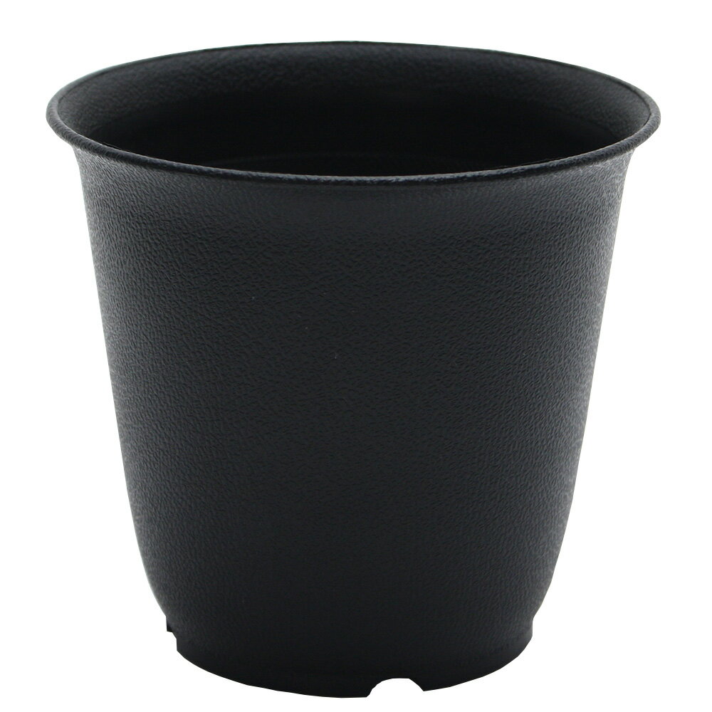 多肉植物 プラ鉢 3号×5個 黒 植え替え 関東当日便