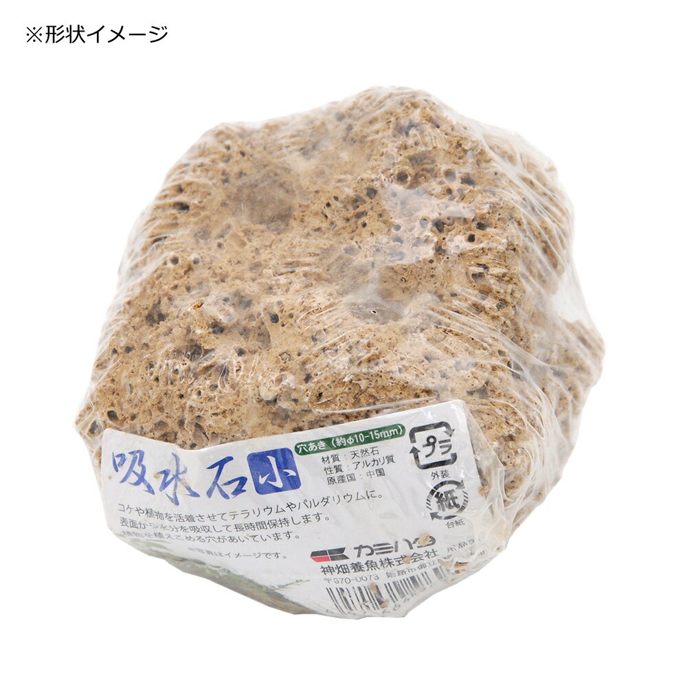 ���ߥϥ����ۿ��С�������6��9cm���ꥵ��������1cm���ƥ�ꥦ�ࡡ�ѥ���ꥦ�ࡡ����������������������