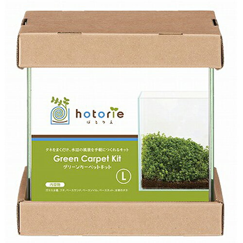 水作　ほとりえ　グリーンカーペットキット　L　お一人様5点限り　関東当日便