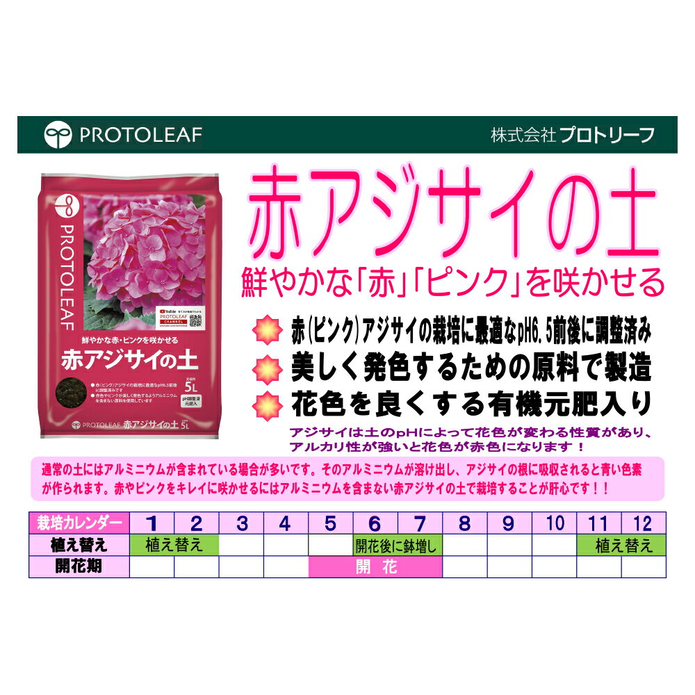 �����ڡ��ץ��ȥ꡼�ա��֥����������ڡ�5L���֤��֤��Ƥ롡����������