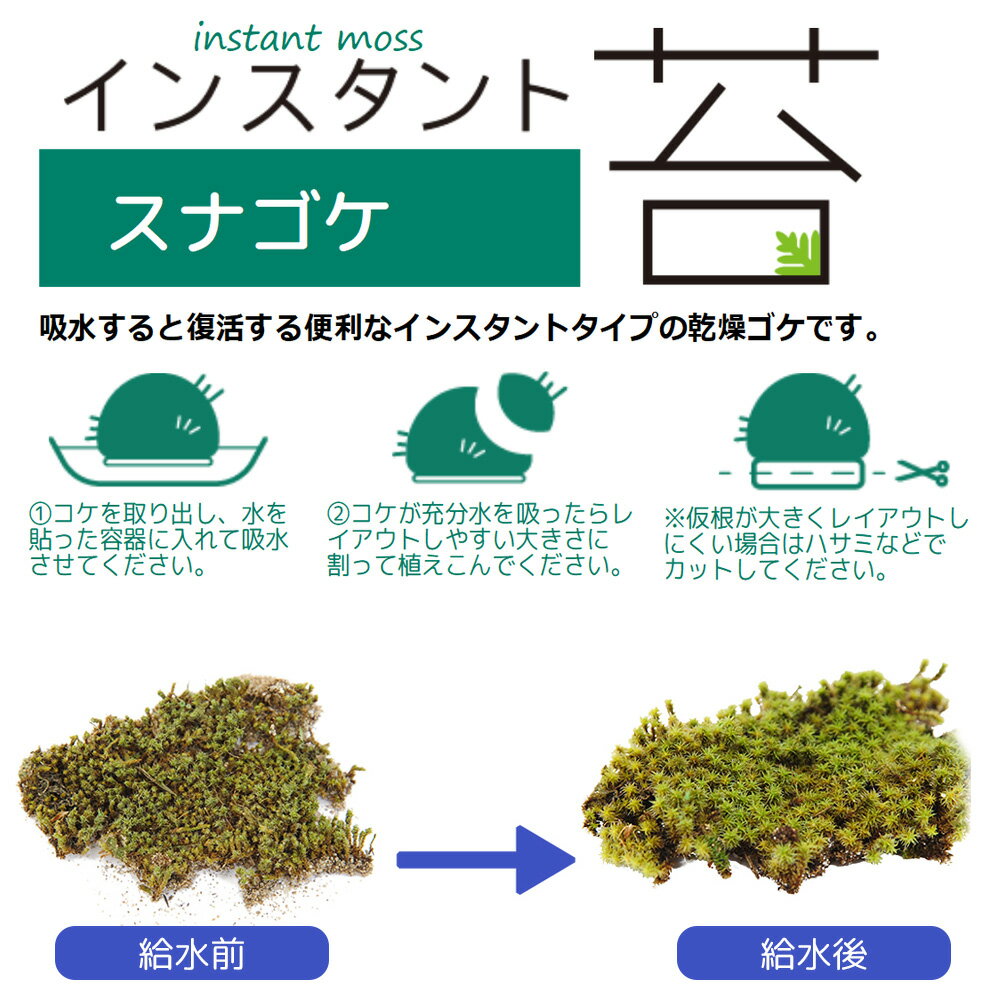 ���󥹥�����ݡ����ʥ���M������14cm��26cm���ɥ饤�����ס����祴��������������