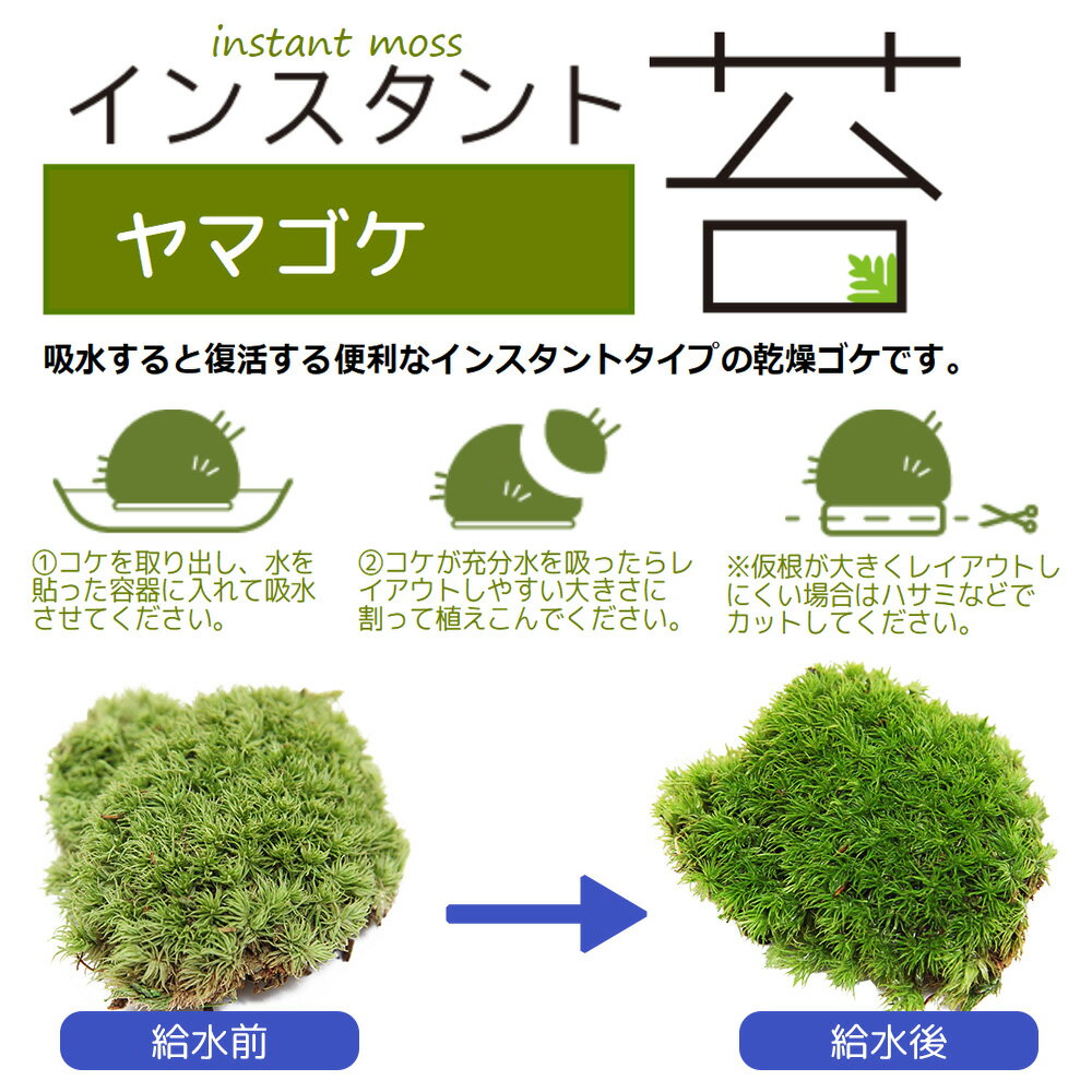 ���󥹥�����ݡ���ޥ���L������25cm��25cm���ɥ饤�����ס����祴��������������