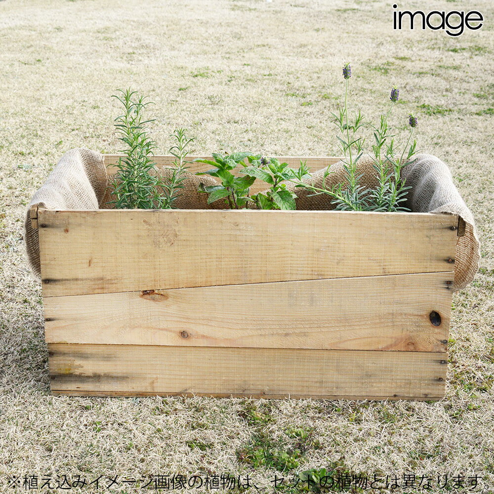 �ʴ��տ�ʪ�ˤ��Ȣ�����ǥ󡡥������ޥ꡼���ݥ��åȡ�̵���������ޡ����к����������դ����������1���¤ꡡƱ���Բġ�����������